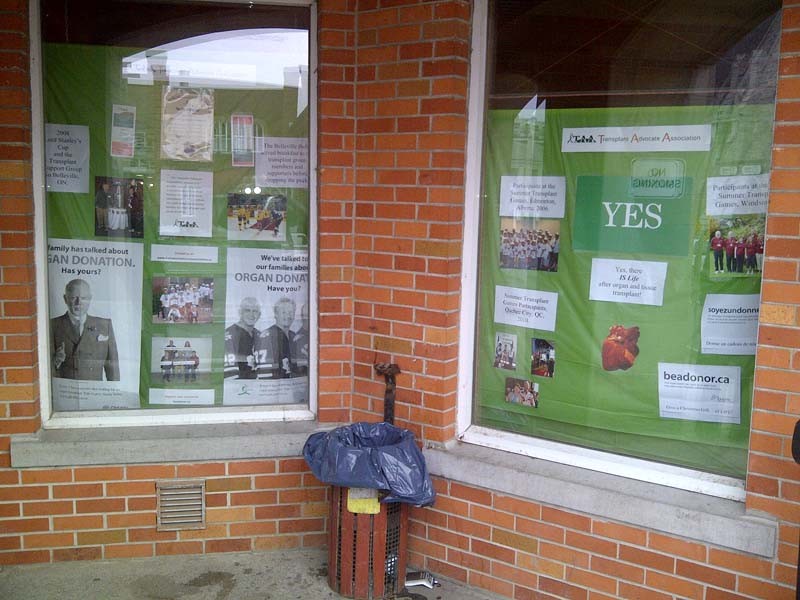 Library Display 2011