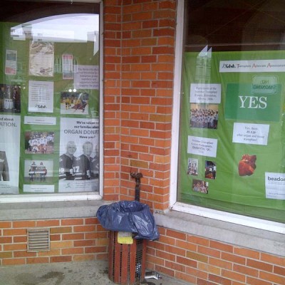 Library Display 2011